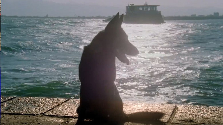 The Creature backdrop 7