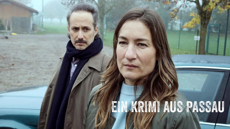 Niemand stirbt gern allein - Ein Krimi aus Passau