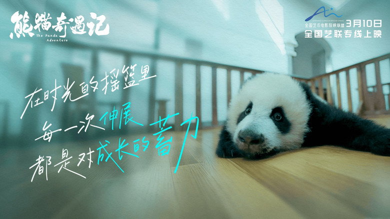 The Panda Adventure backdrop 1