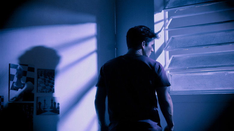 HOMO HOMINI LUPUS backdrop 4