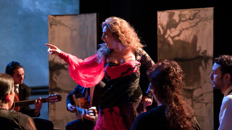 Flamenco Flamenco backdrop 2