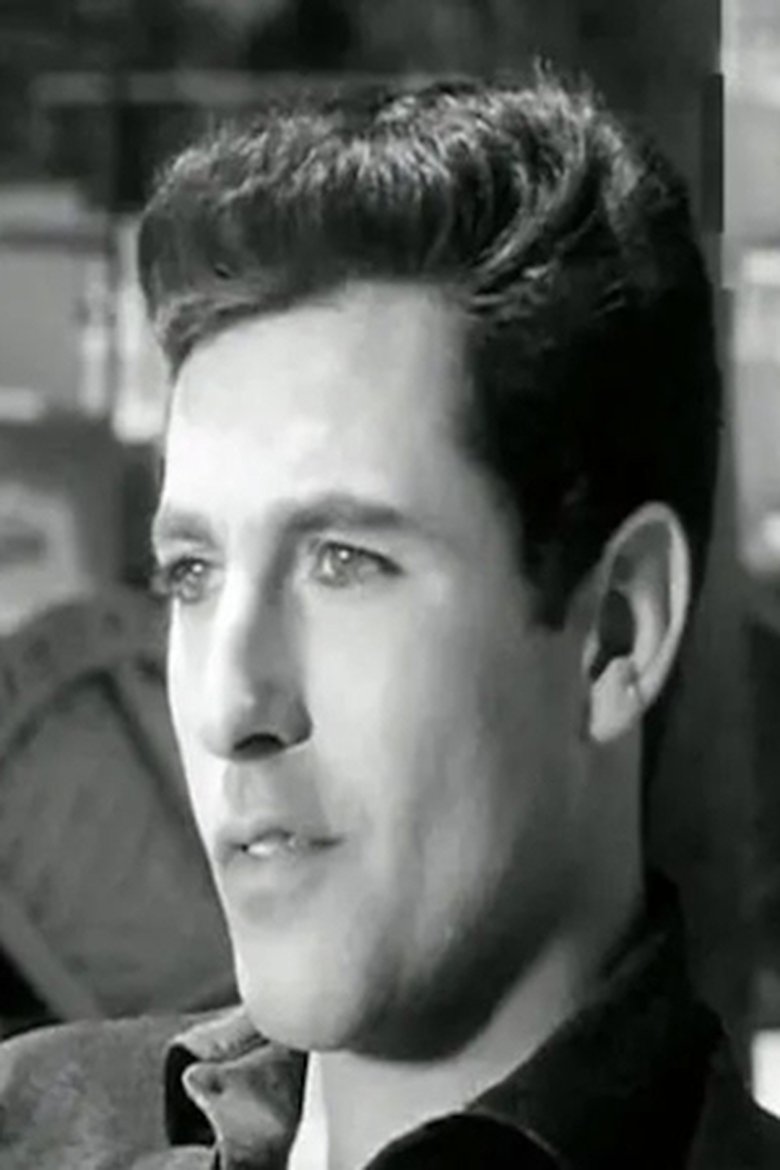 Amr El Torgoman