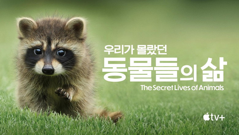 The Secret Lives of Animals backdrop 8