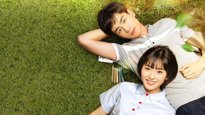 A Love So Beautiful backdrop 3