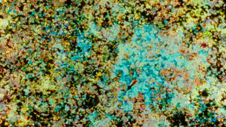 Landfill 16 backdrop 1