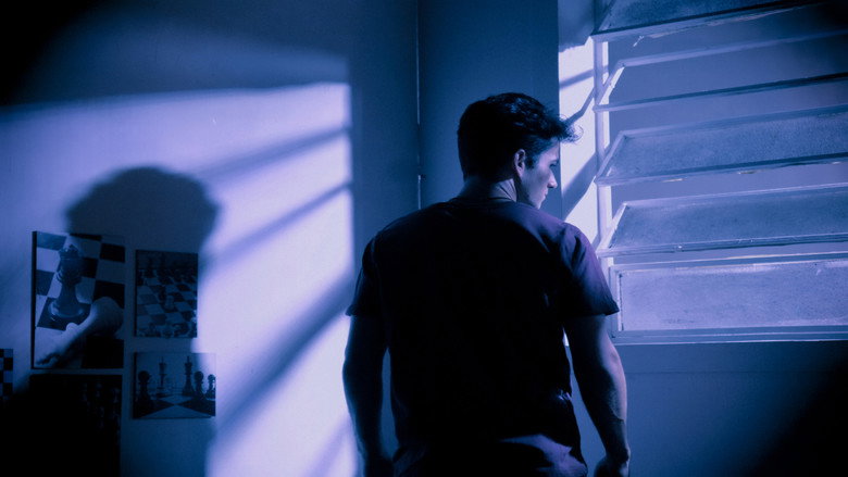 HOMO HOMINI LUPUS backdrop 8