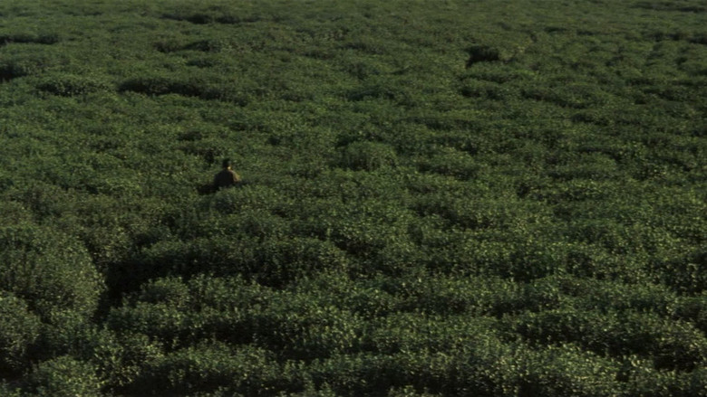 Zatoichi Challenged backdrop 4
