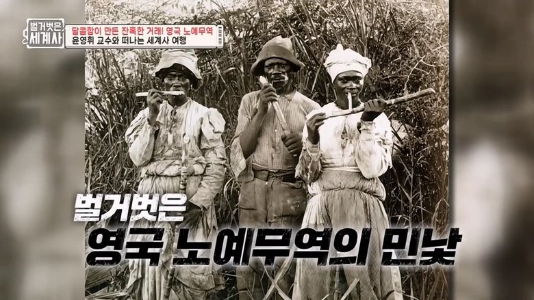 Episode 41
