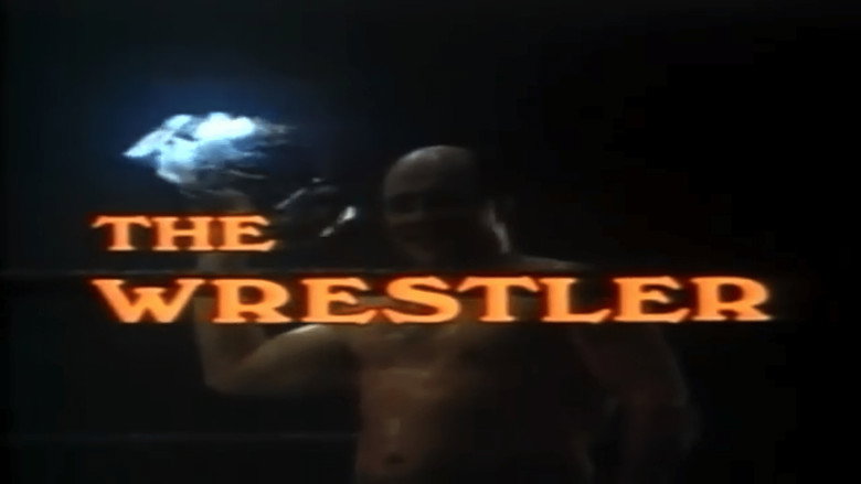 The Wrestler線上电影看完整版