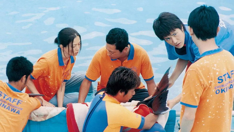 Dolphin Blue: Soar Again, Fuji backdrop 2