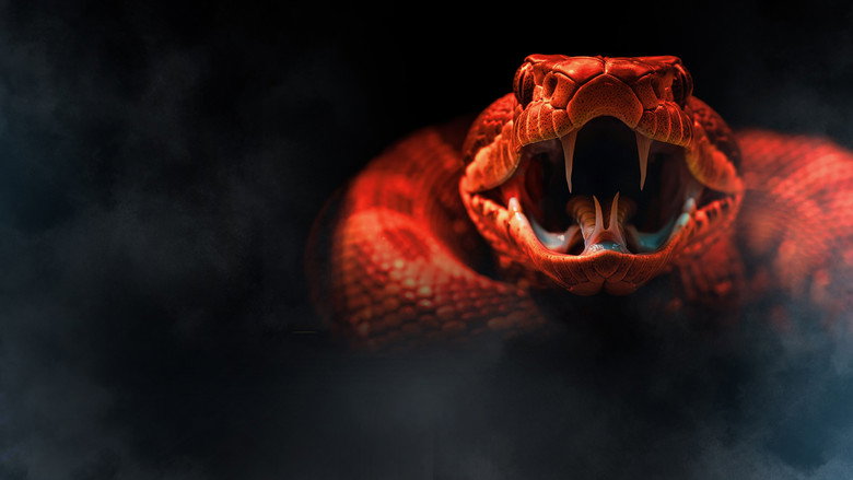 One Big Snake backdrop 2