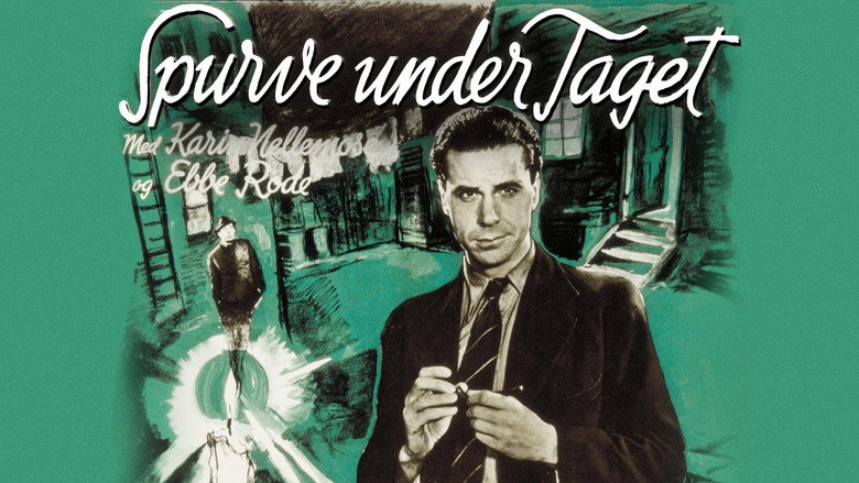 Spurve under taget backdrop 4