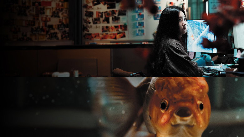 The Killer Goldfish backdrop 7