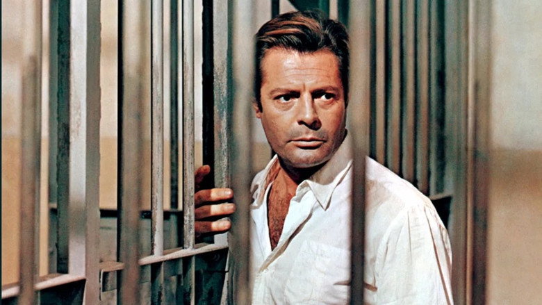 Marcello Mastroianni, irrésistiblement libre backdrop 9