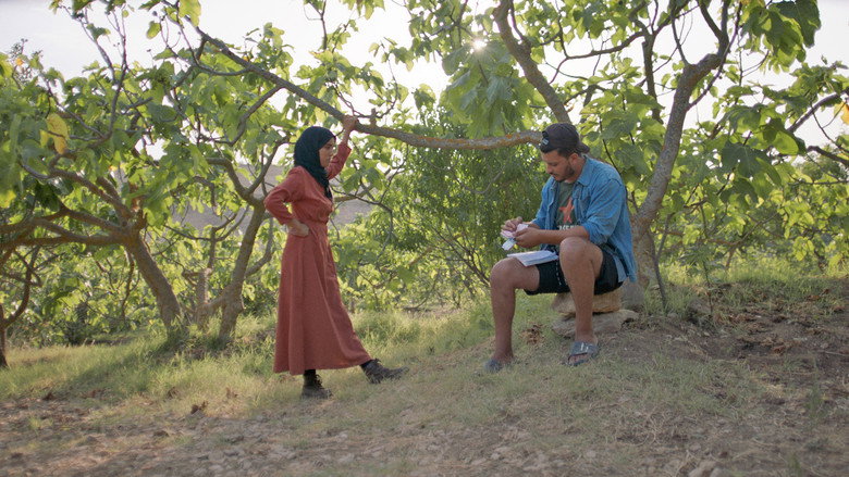 Under the Fig Trees backdrop 5