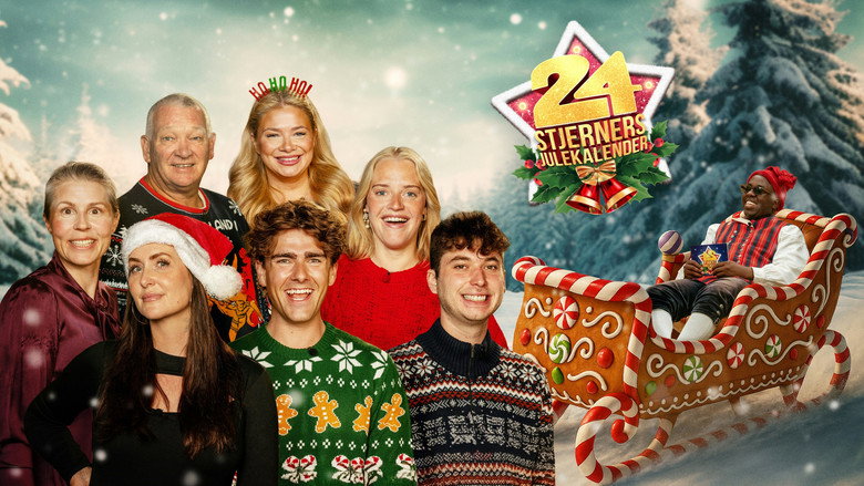 24 stjerners julekalender backdrop 3