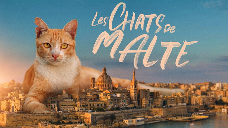 Cats of Malta backdrop 2