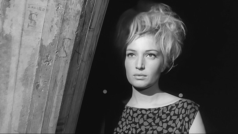 Monica Vitti, die Königin des italienischen Films backdrop 4