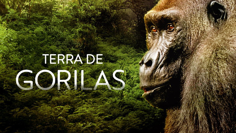 Gorillas Close Up backdrop 8