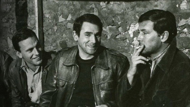 Hossein, Ronet, Trintignant : Confidences de trois acteurs inoubliables backdrop 1