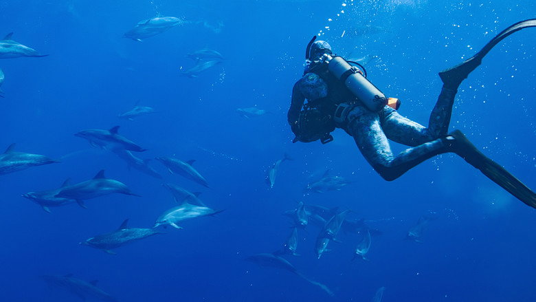 Dolphins Up Close with Bertie Gregory backdrop 4