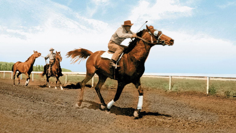 The Story of Seabiscuit backdrop 4