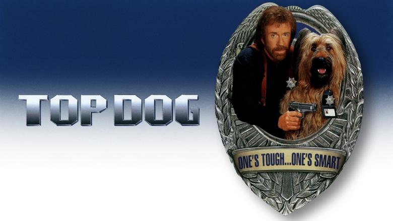 Movie Top Dog Poster Images, BackDrops Images, Logo Images backdrops 0 /765uisQu1kiUY6fKIxbtiY2P0P9.jpg