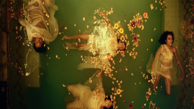 The Fish Tank backdrop 2
