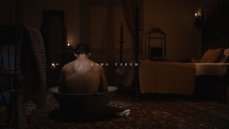 Homo Verum backdrop 6