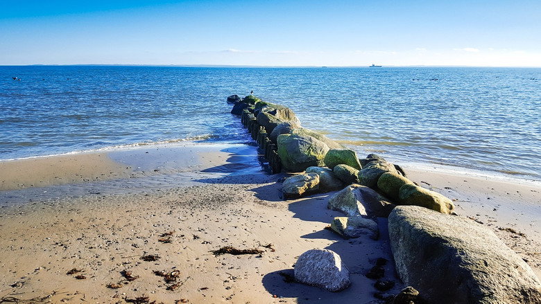 Wild Baltic Sea backdrop 2