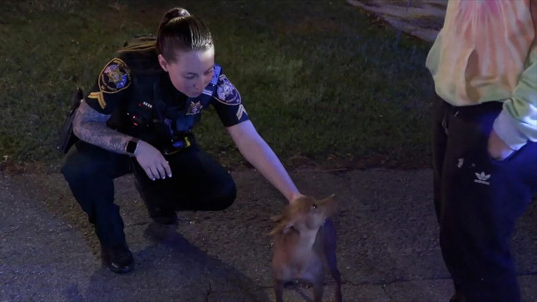 Out of Control Party