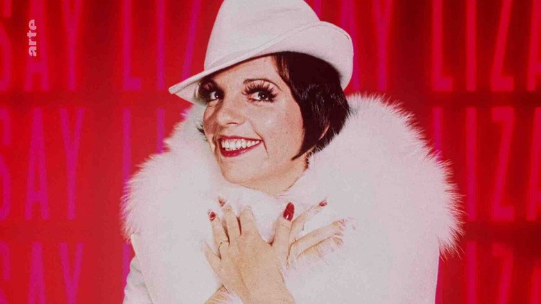 Liza Minnelli, la dernière héritière d'Hollywood backdrop 5