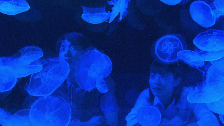 The Blue Light backdrop 4
