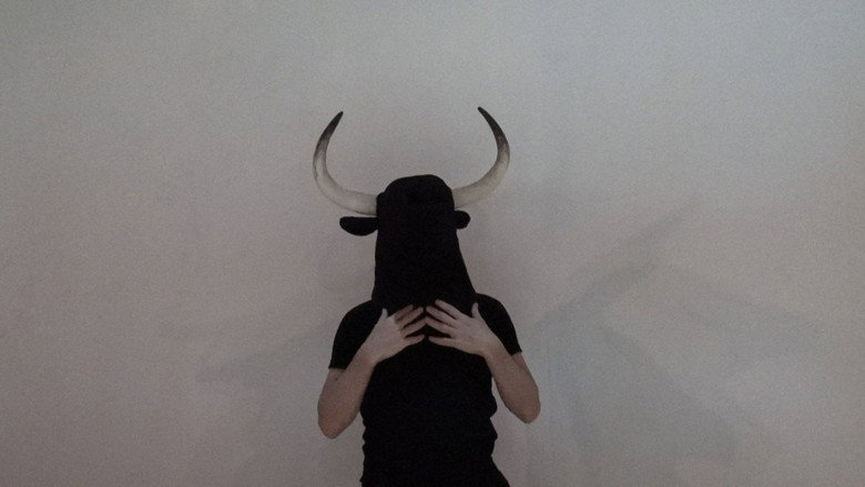 Bull's Heart backdrop 3