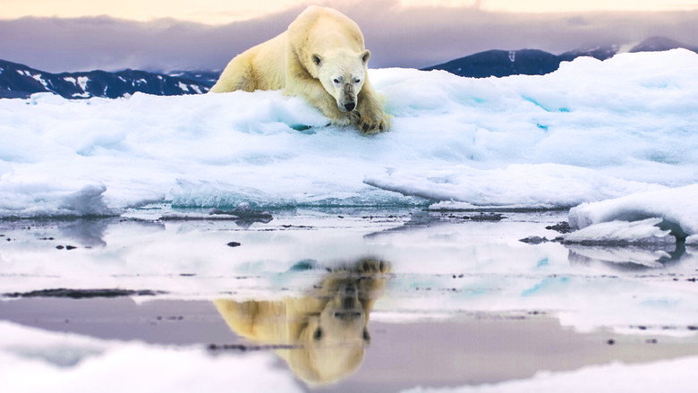 Frozen Planet II backdrop 5