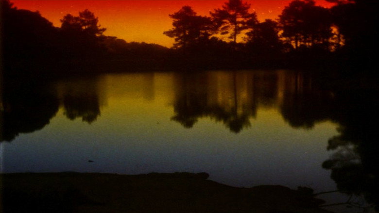 The Territory backdrop 5