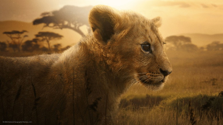 LION backdrop 7