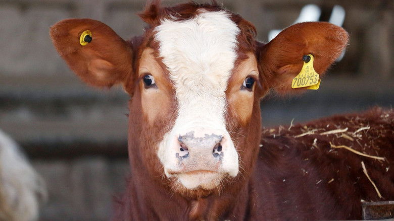 Fly-Tippers Get Caught in the Act