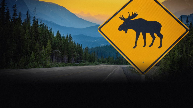 Griff's Canadian Adventure backdrop 7