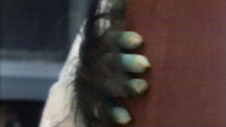 /7Zv0Lk4khhhH65crunuHlmc5pVL.jpg