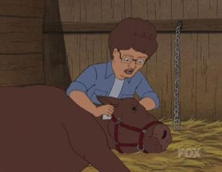 A Rover Runs Through It