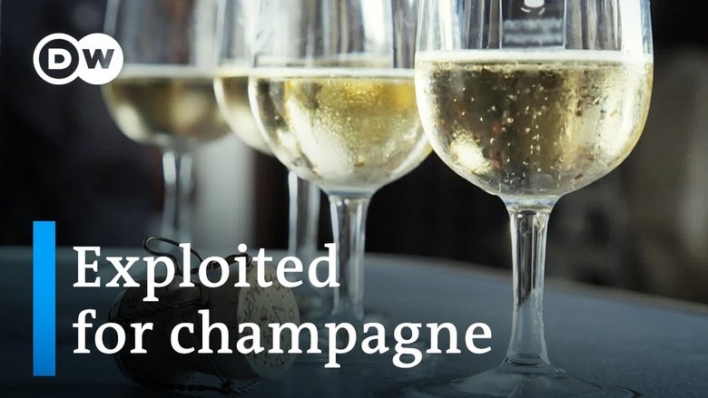 The dark side of the champagne industry