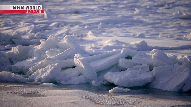 Sea of Okhotsk: Blessings of the Drift Ice