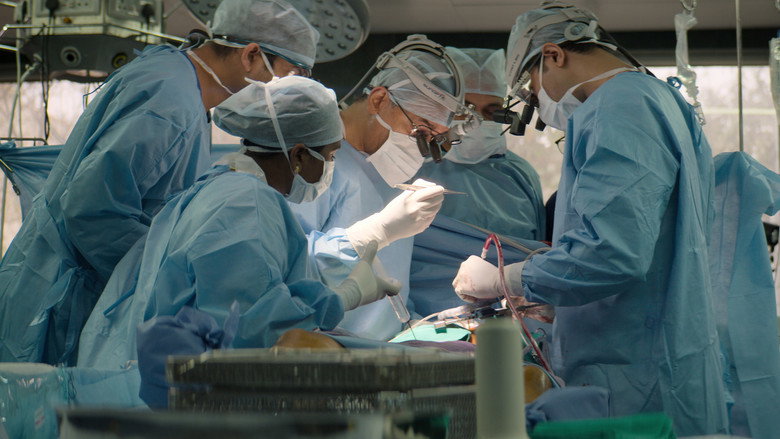 The Surgeon's Cut backdrop 2