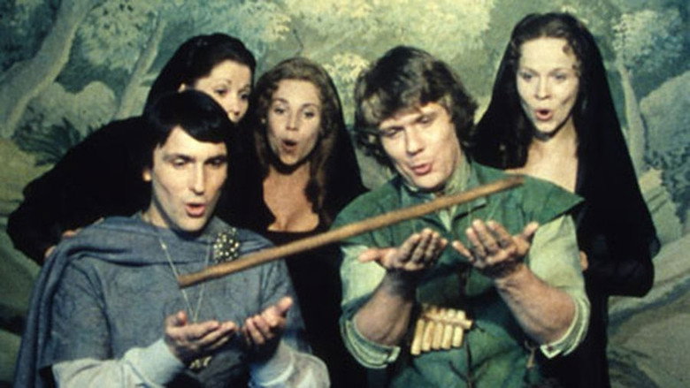 The Magic Flute backdrop 4