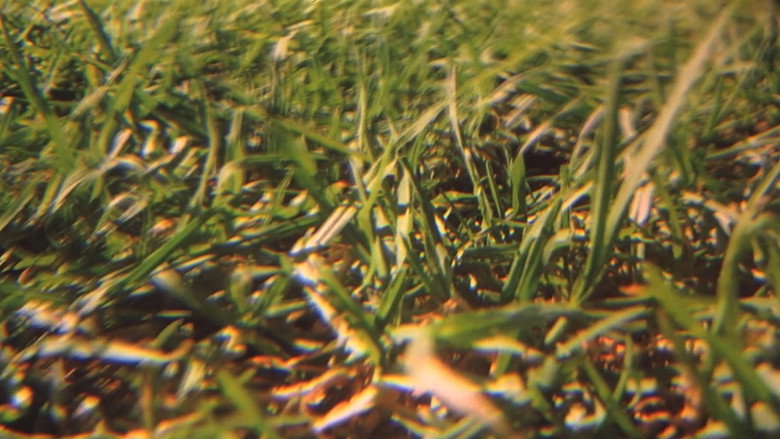 It's Such a Beautiful Day backdrop 9
