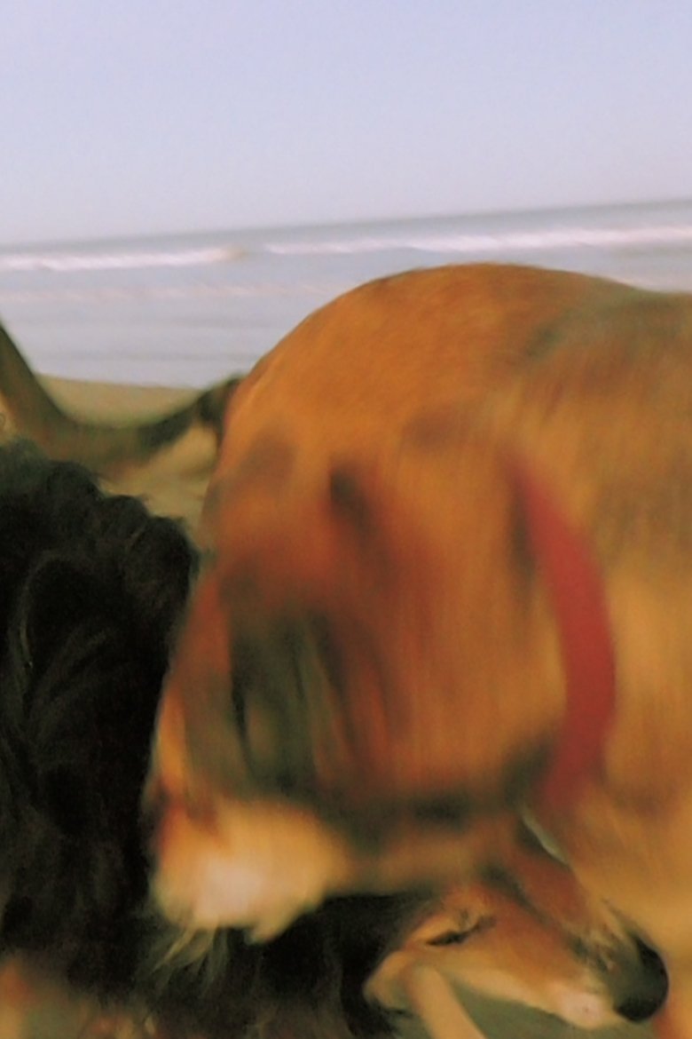 From The 20s In the 80s