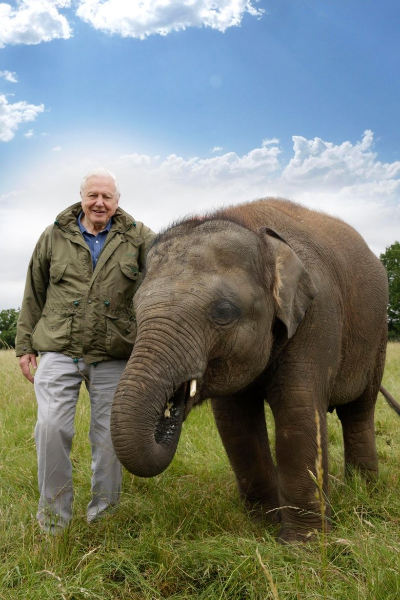 Jumbo. Una historia de película