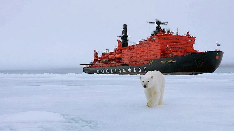 The Arctic: 66.5 Degrees North backdrop 5