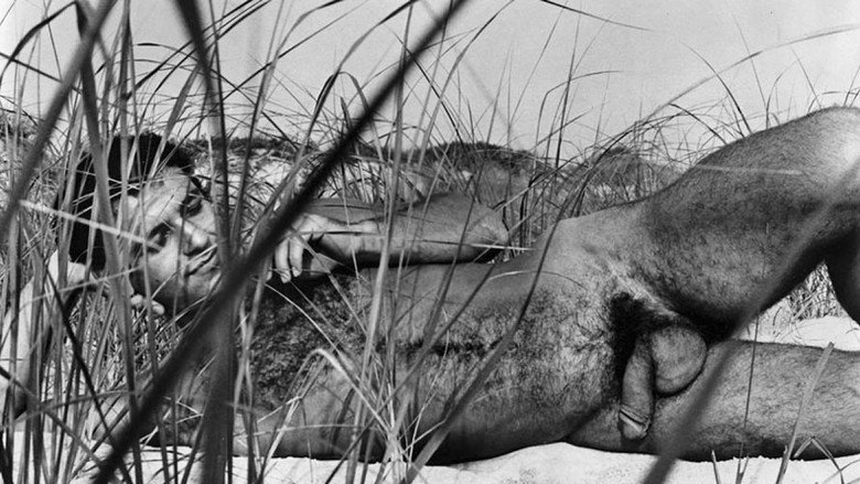 Rip Colt's Sex Rated Home Movies 3 backdrop 3